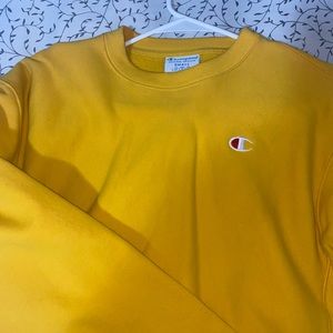 Champion Cropped Hoodie
